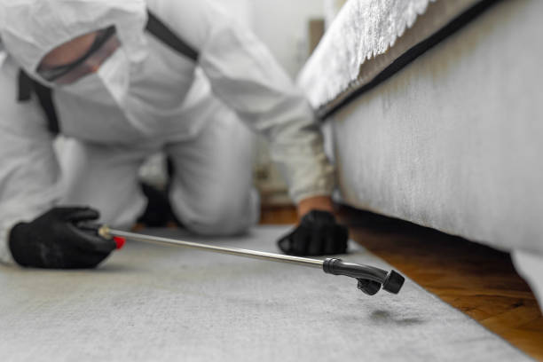 Professional Bed Bug Control technician working in Shelburn, IN
