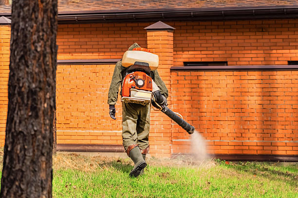 Trusted Rodent Control service in Shelburn, IN - Nex Pest Control